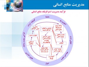 اصول مدیریت و تئوری سازمان
