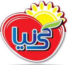 کی نیا کی نیا